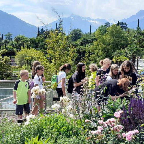 2. Klassen in den Gärten in Südtirol